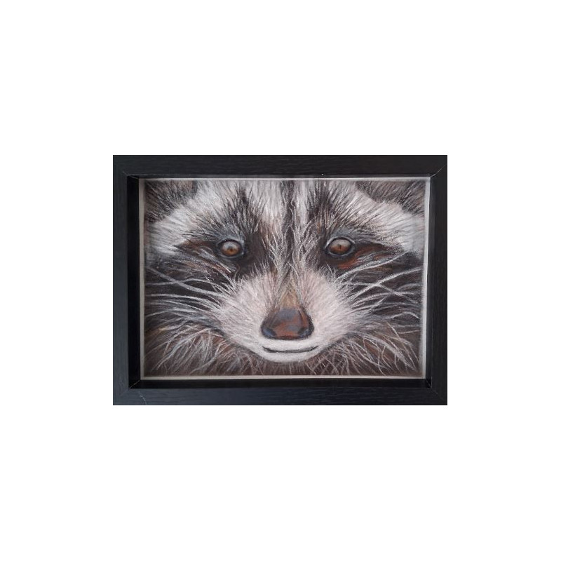 ROUKY LE RATON LAVEUR