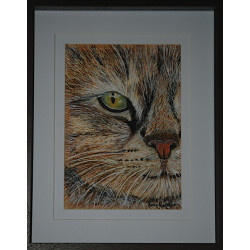 GOLDEN CHAT AQUARELLE