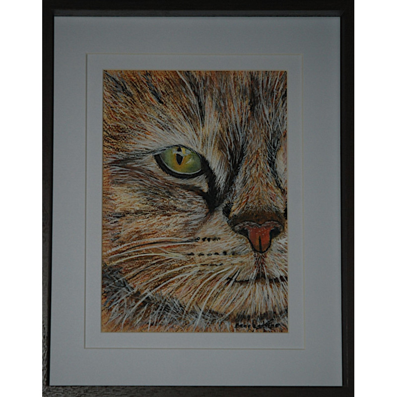 GOLDEN CHAT AQUARELLE