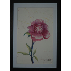 Pivoine en aquarelle – avec...