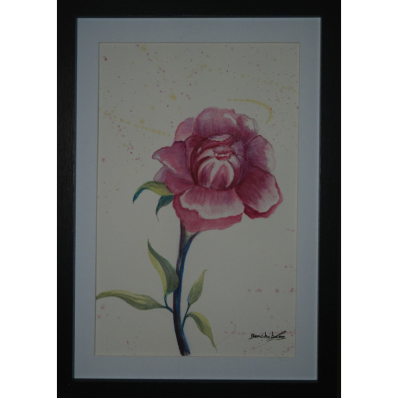 Pivoine en aquarelle – avec cadre